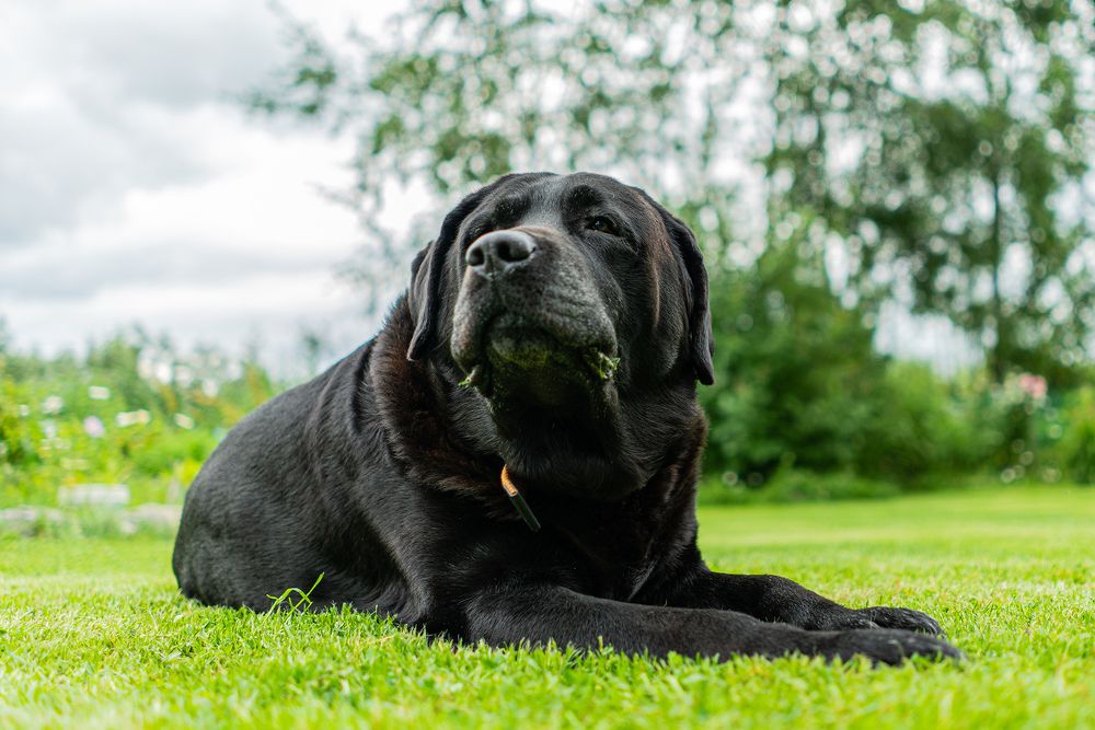 Photograph by Ирина Юркова