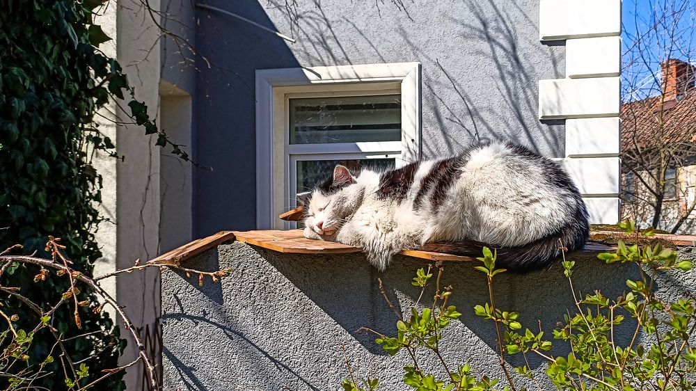 Photograph by Ирина Юркова