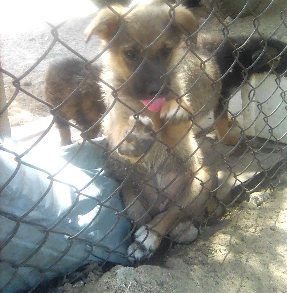 Photograph by Марта Васильева