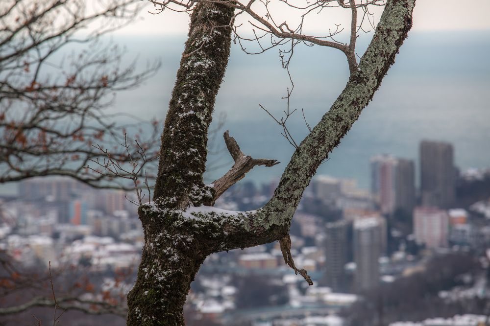 Photograph by Эн Эр