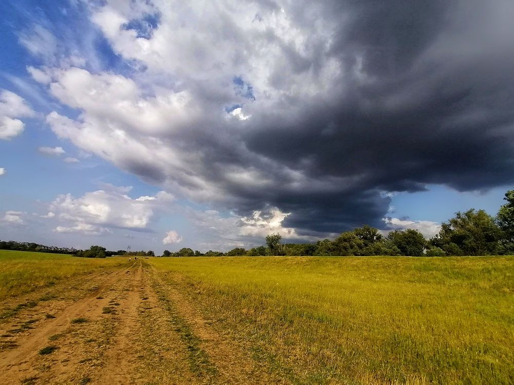 Photograph by Snezana Boskovic