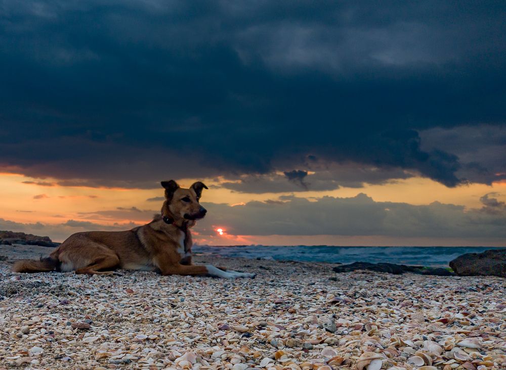 Фотография автора Pavel Bernshtam