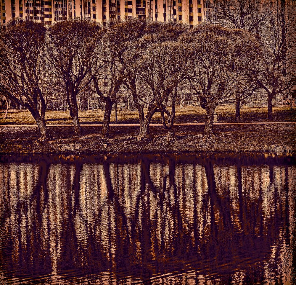 Photograph by Tatyana Semenova