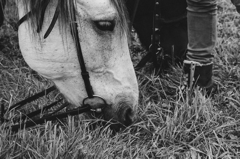 Фотография автора Степан Филев