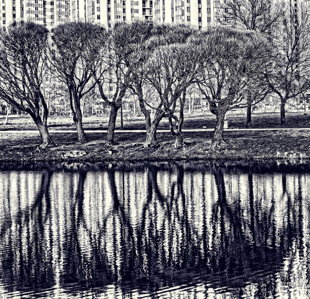 Photograph by Tatyana Semenova