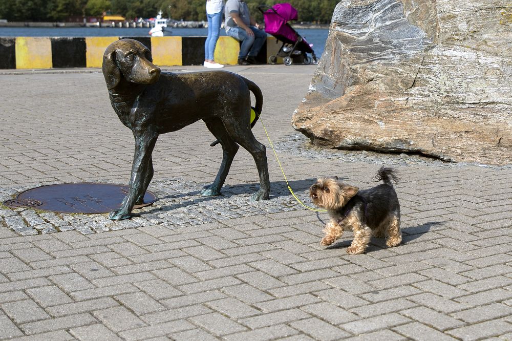 Photograph by Rolandas Valančauskas