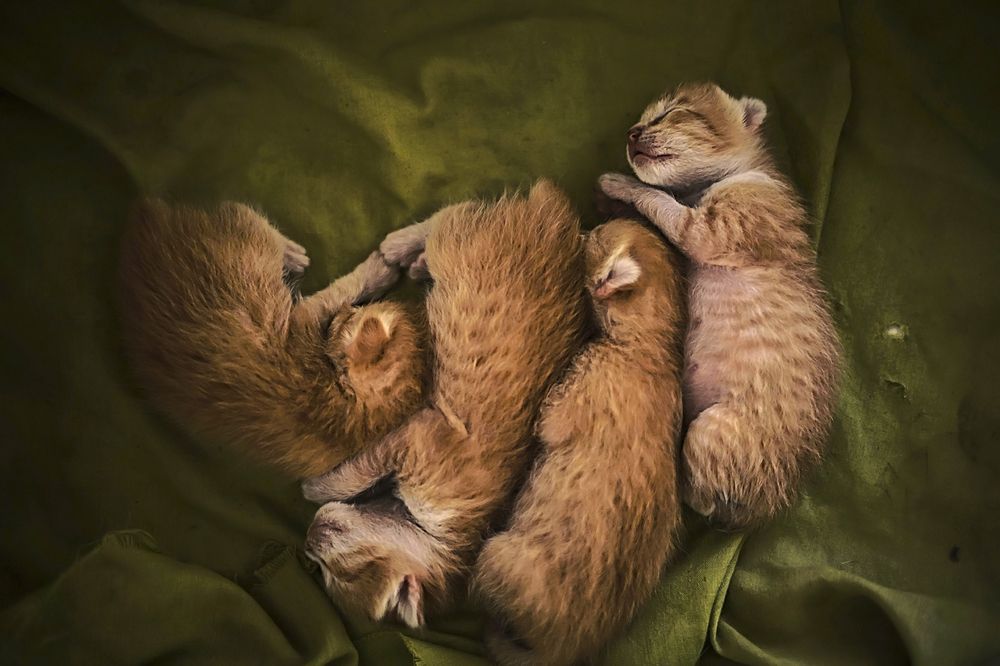 Photograph by dewa putra