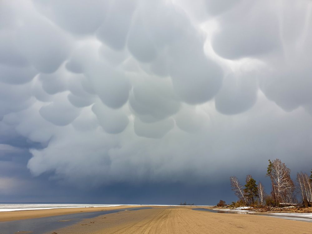 Photograph by Елена Димова