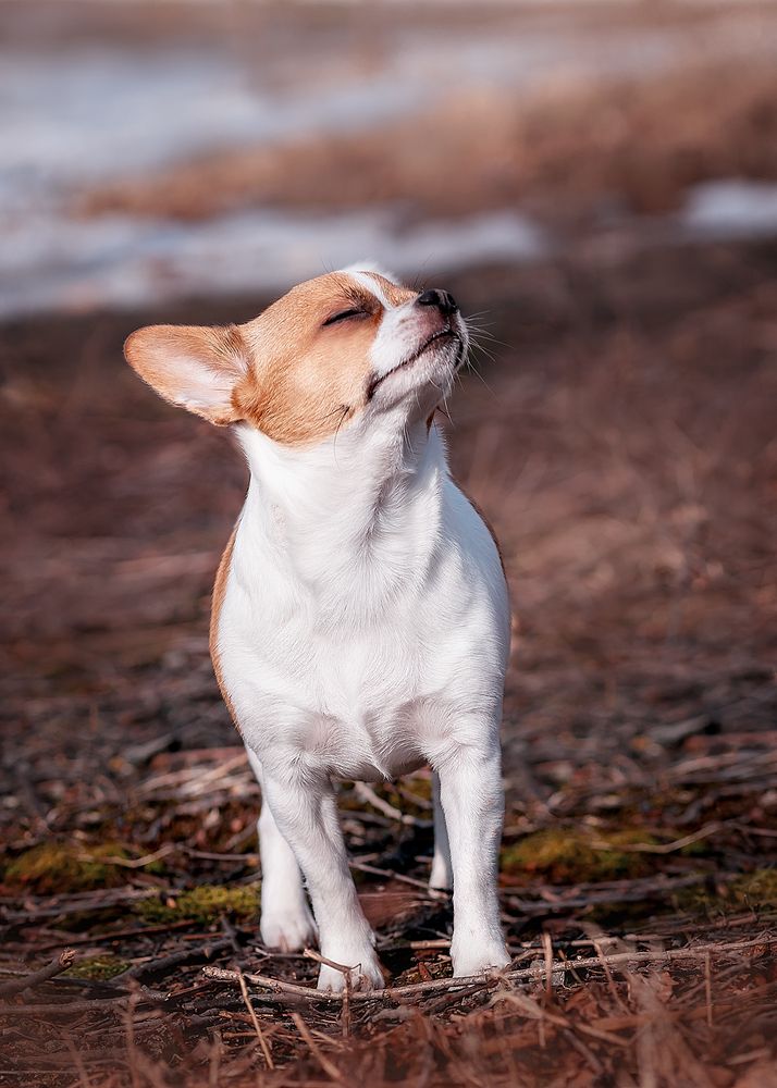 Photograph by Диана Кочнова