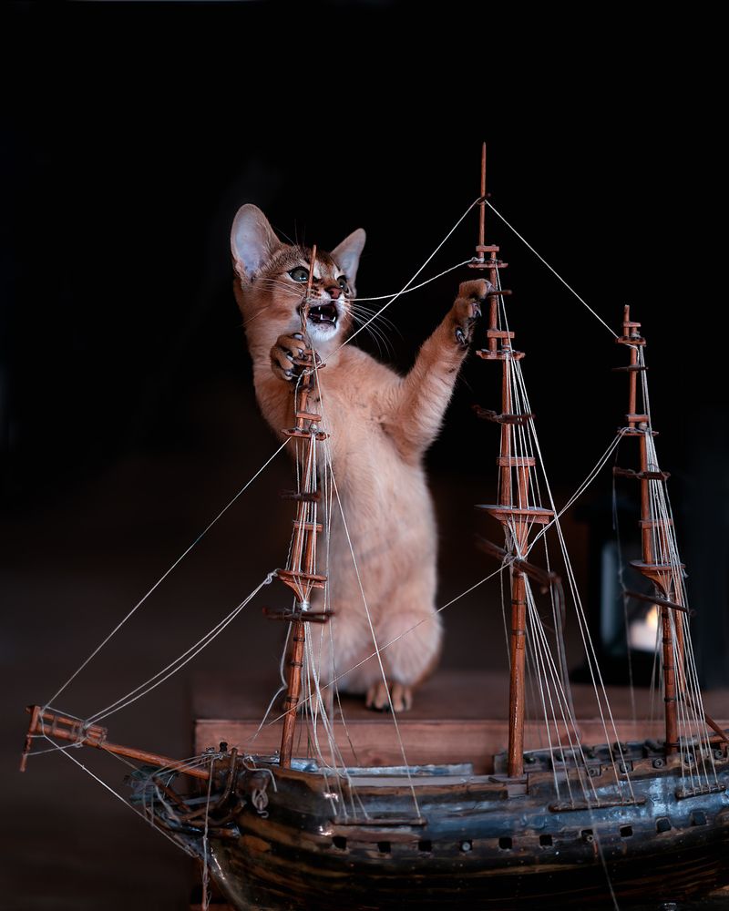 Photograph by Диана Кочнова