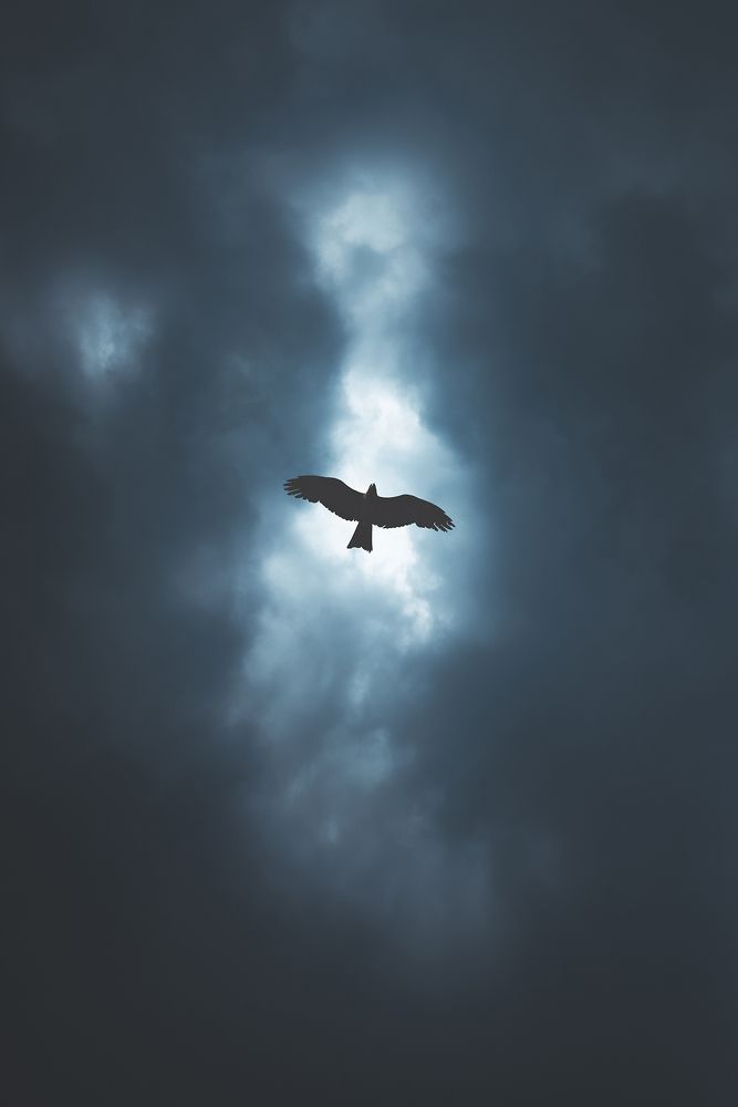 Photograph by Subham Shome