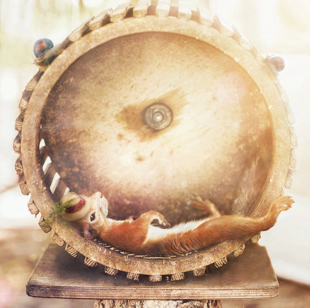 Photograph by Мария Буданова