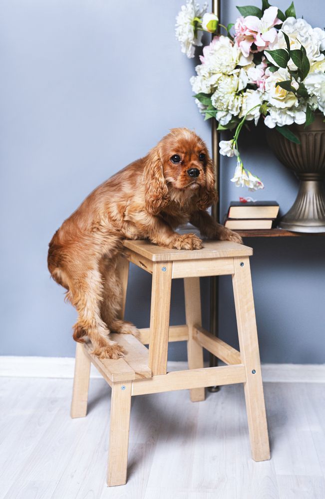 Photograph by Мария Буданова