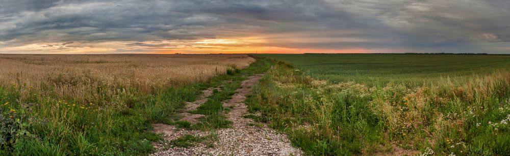 Photograph by Денис Сухачев