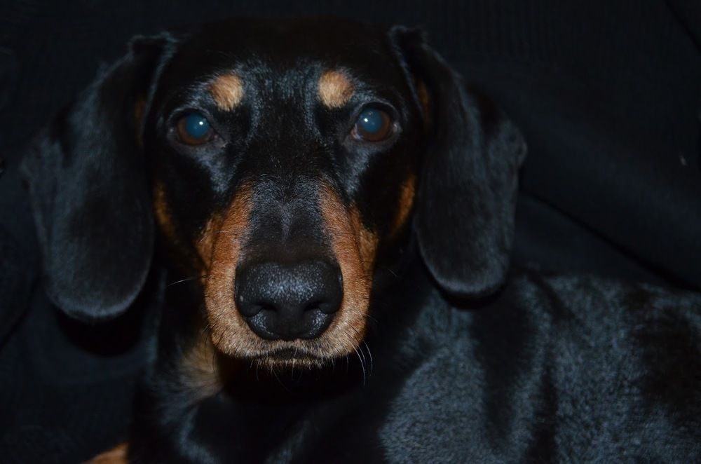 Фотография автора Евгения Илина