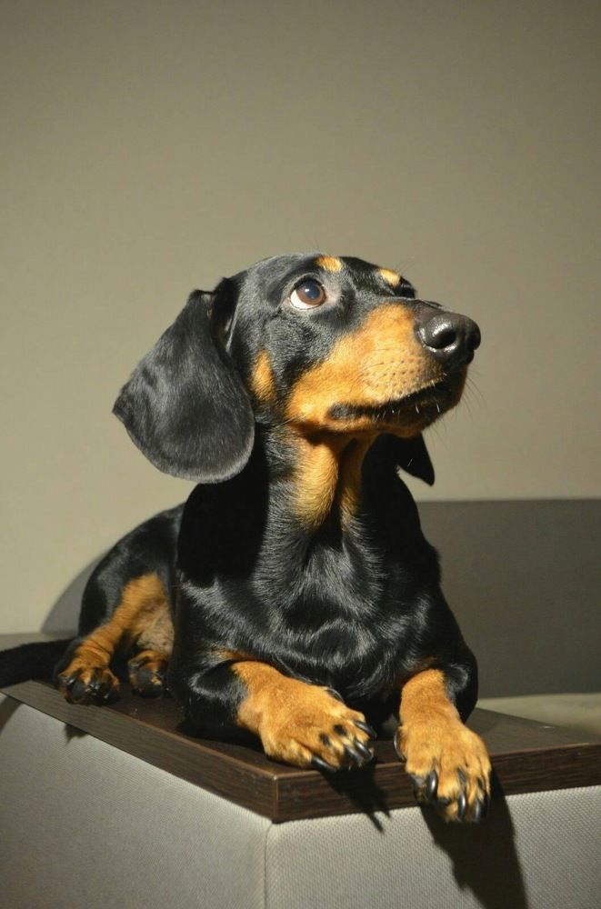 Фотография автора Евгения Илина