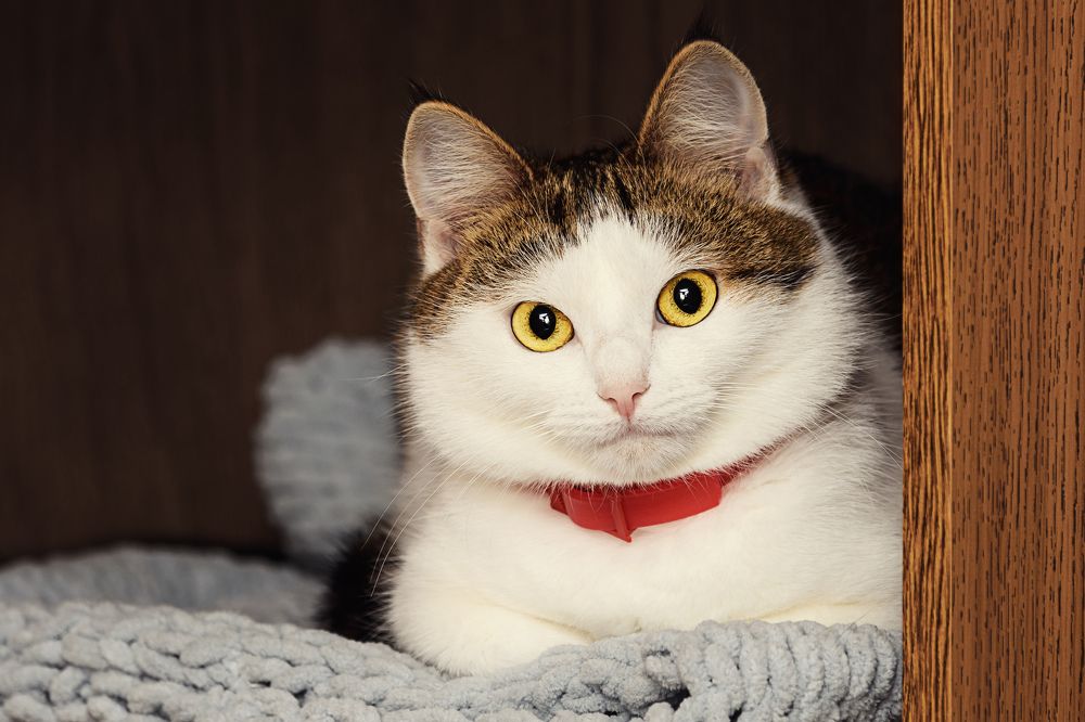 Photograph by Сергей Демченко