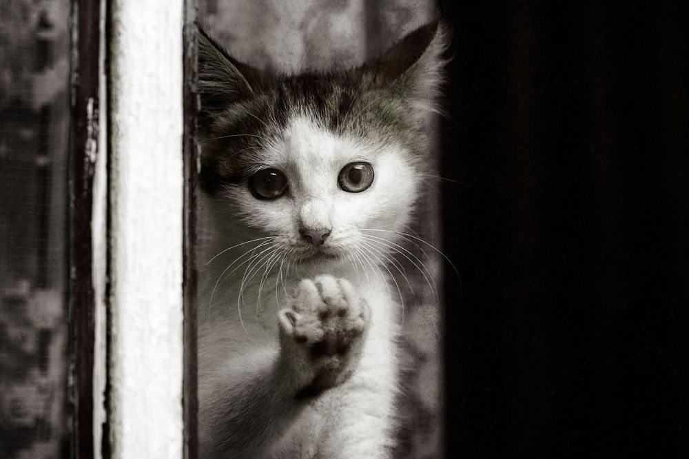 Photograph by Сергей Демченко