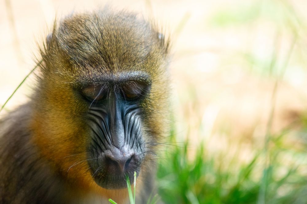 Photograph by Лея Лерер