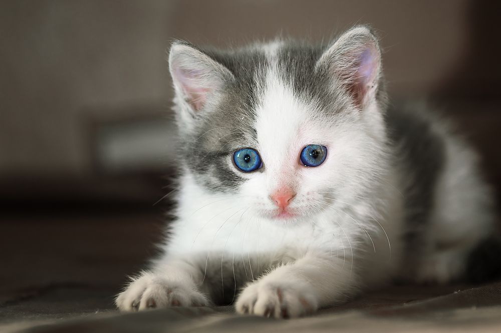 Photograph by Сергей Демченко