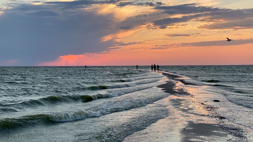 Мгновение до темноты