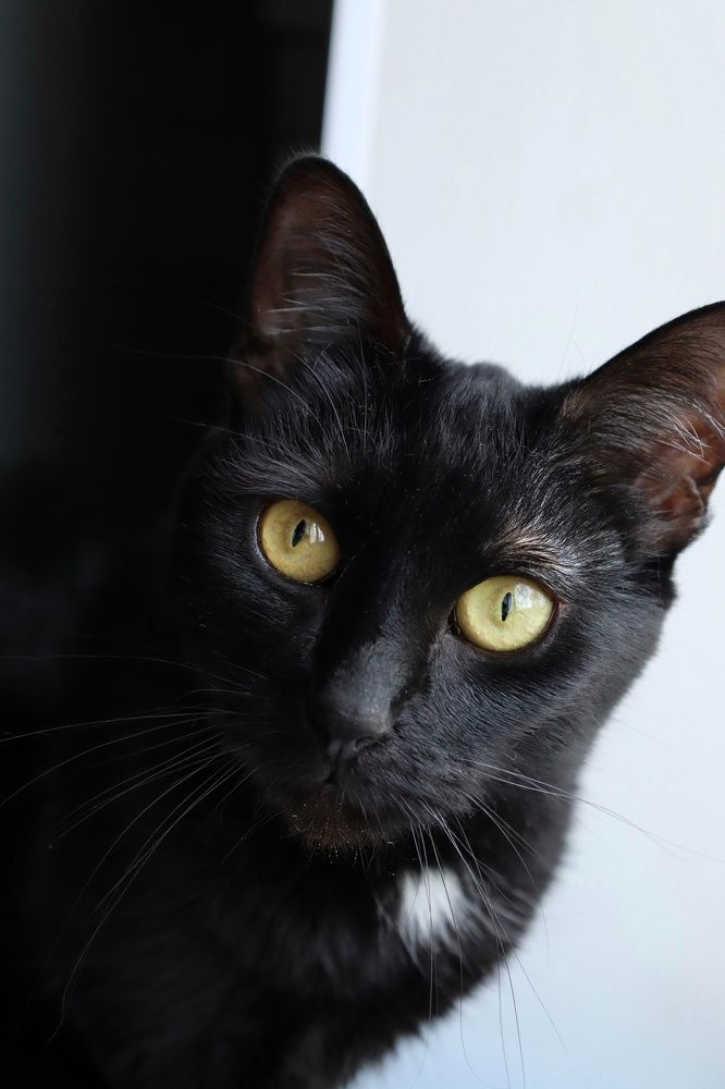 Photograph by Светлана Беспалко