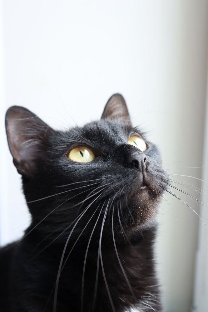 Photograph by Светлана Беспалко