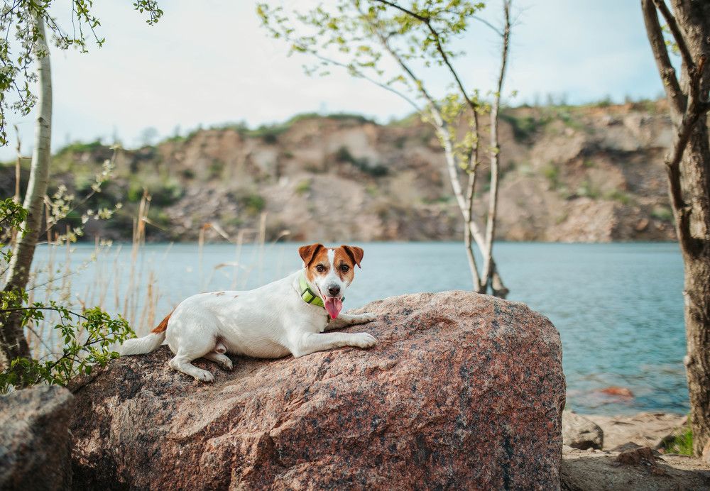 Photograph by Марина Колобанова