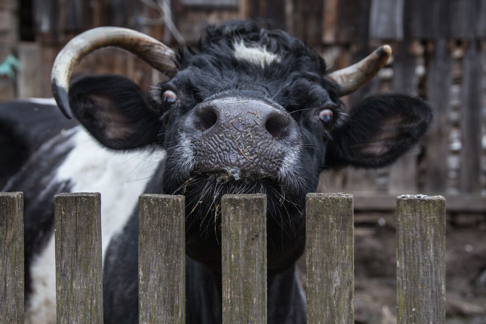 Photograph by Инна Юдина