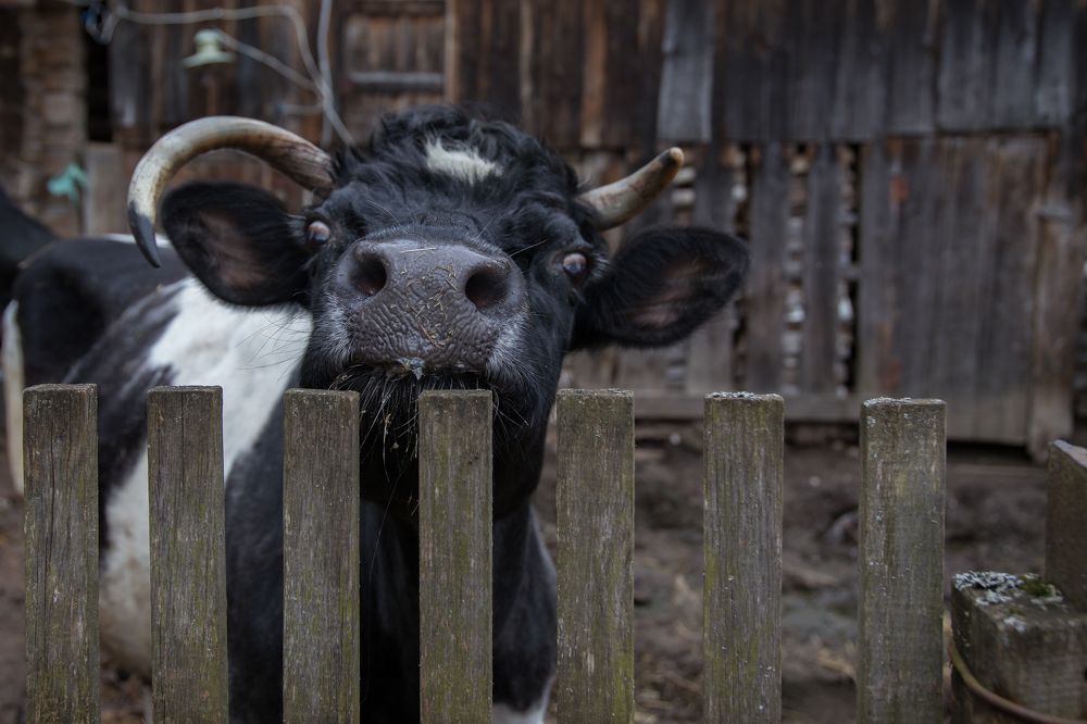 Photograph by Инна Юдина