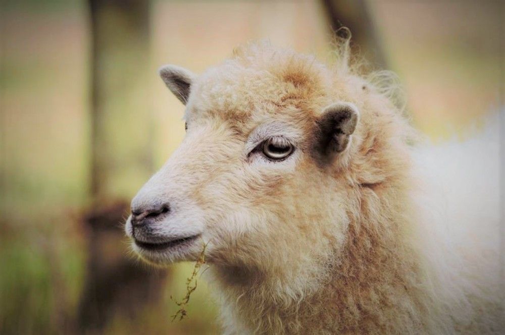 Photograph by Valérie Dugué