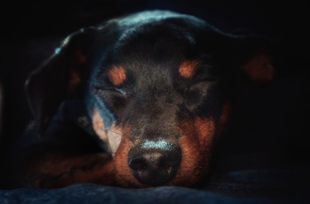 Photograph by Ольга Копина