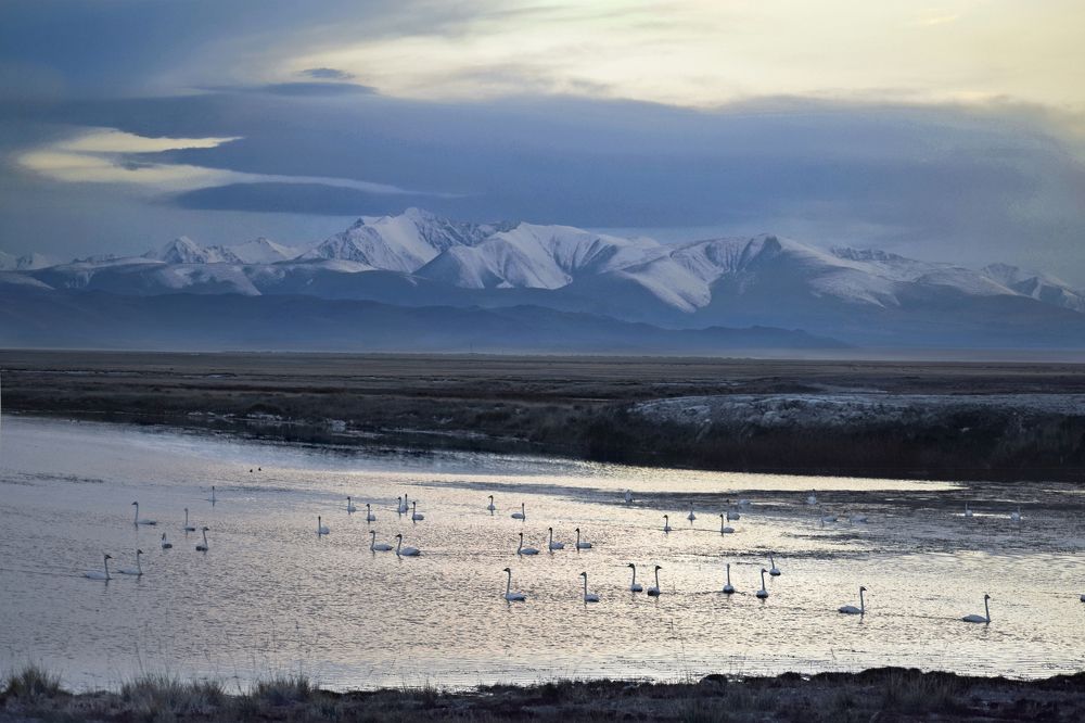 Photograph by Светлана Крат