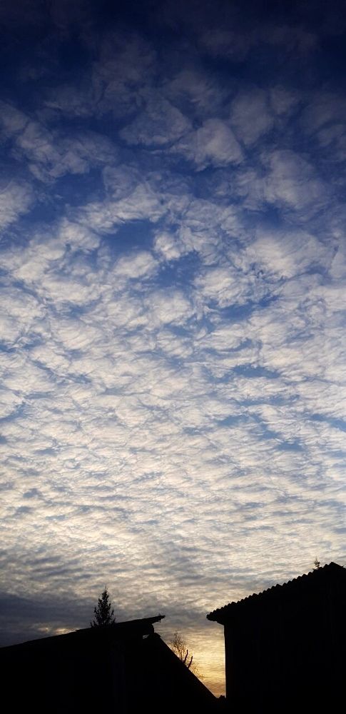 Фотография автора Ольга Трифонова