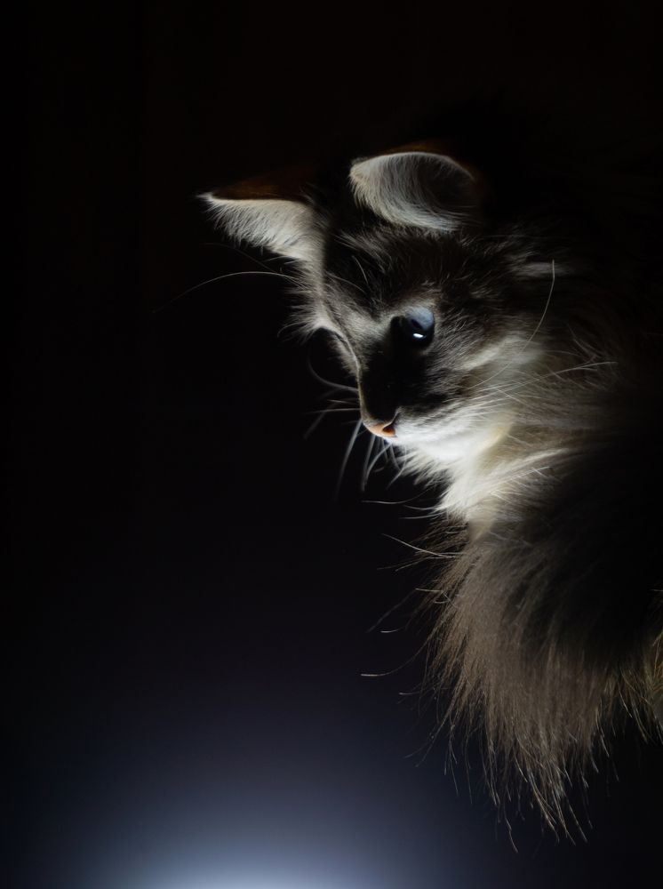 Photograph by Ольга Копина