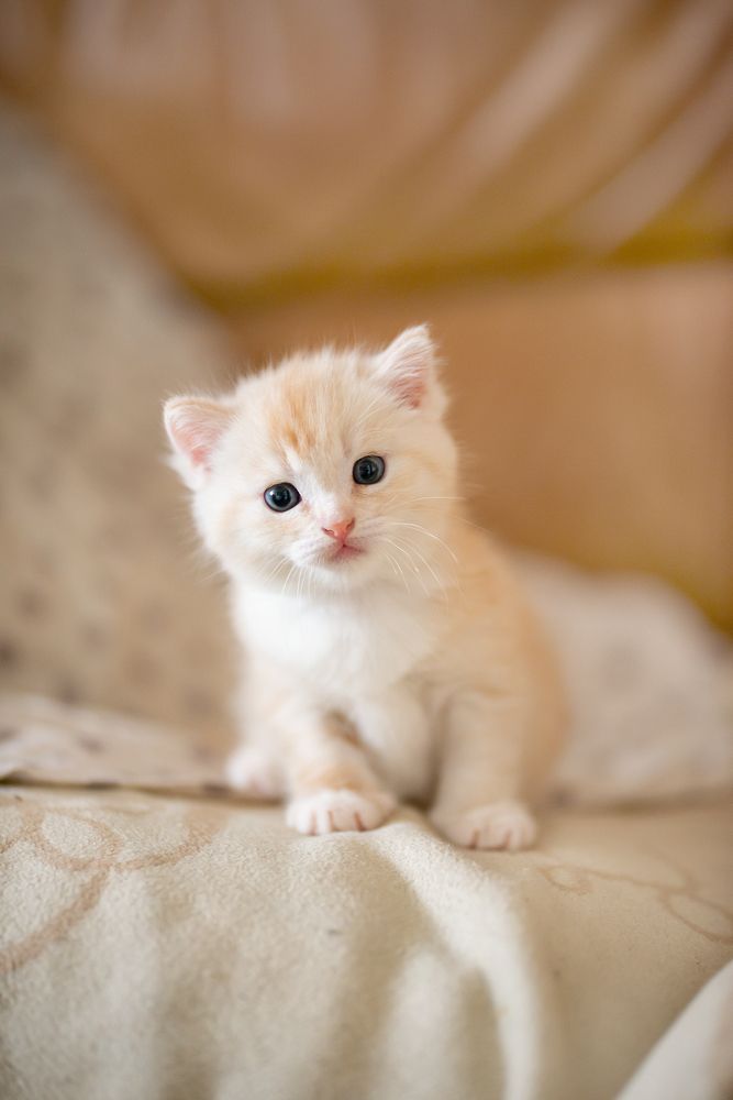 Photograph by Юлия Полянцева