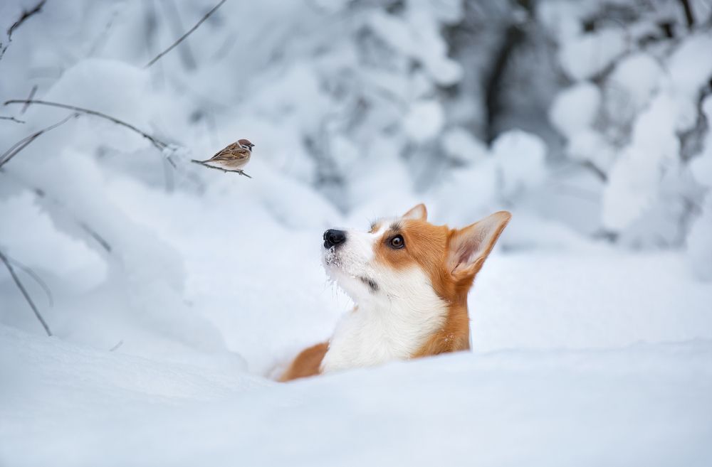 Photograph by Anna Oris