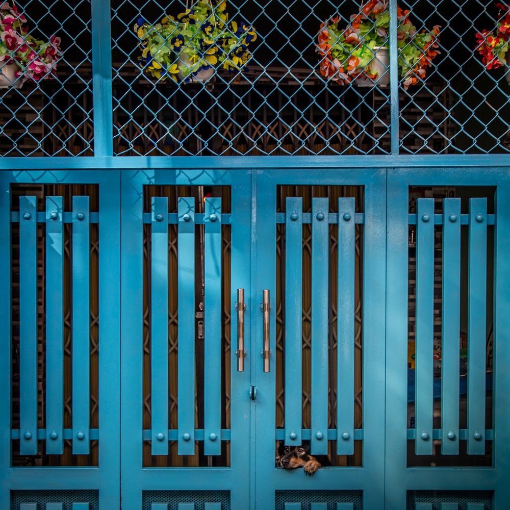 Photograph by Dzintra Zvagina