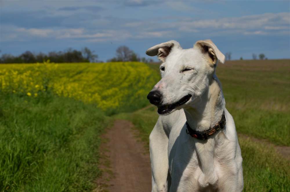После дождя