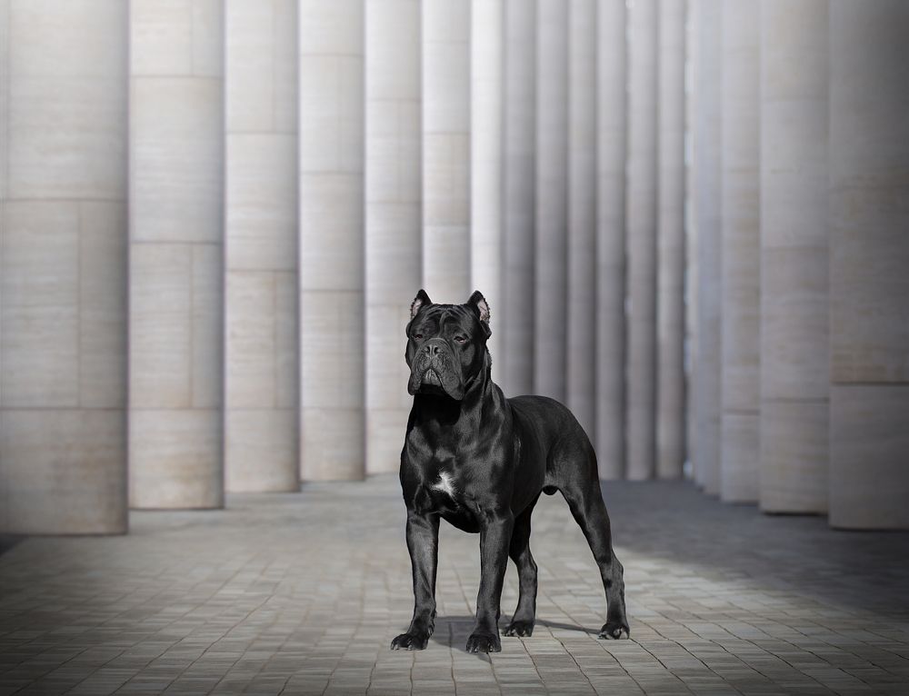 Photograph by Anna Oris