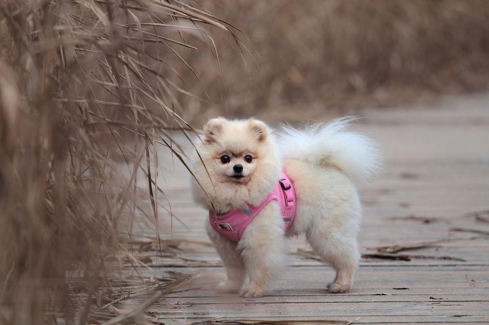 Photograph by VLADISLAVS MIKUSA