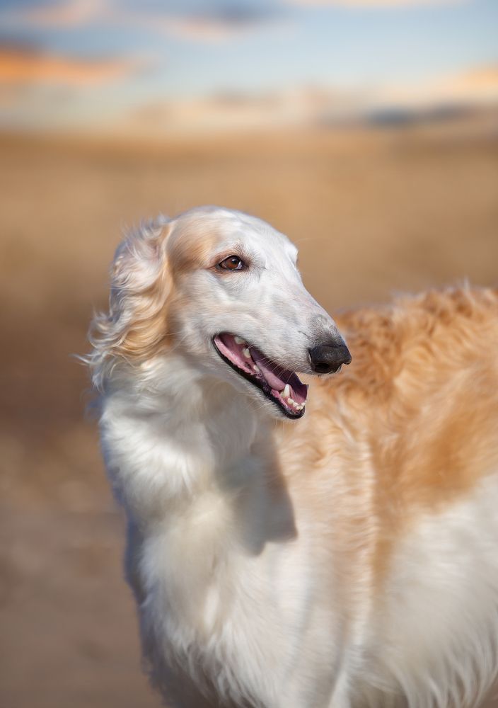 Photograph by Anna Oris