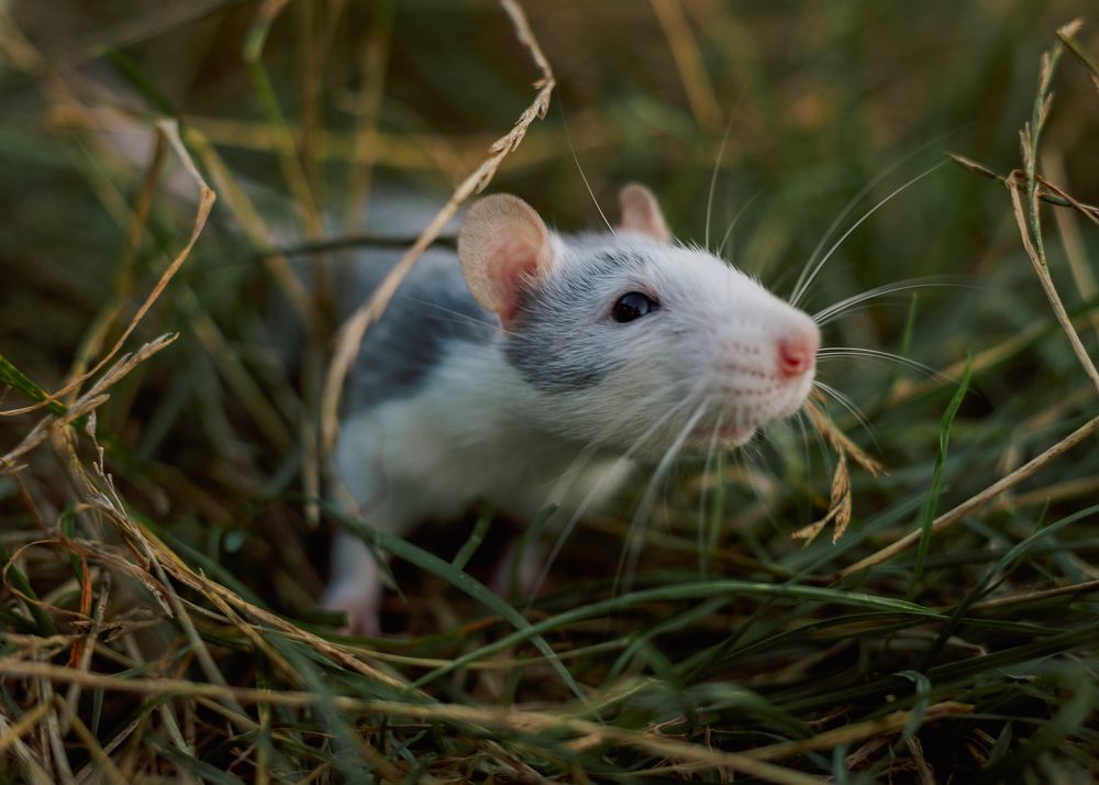 Photograph by Катерина Козаченко