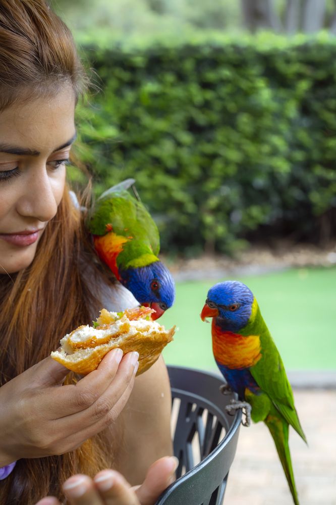 Photograph by Bijaya Lamichhane Jaisi