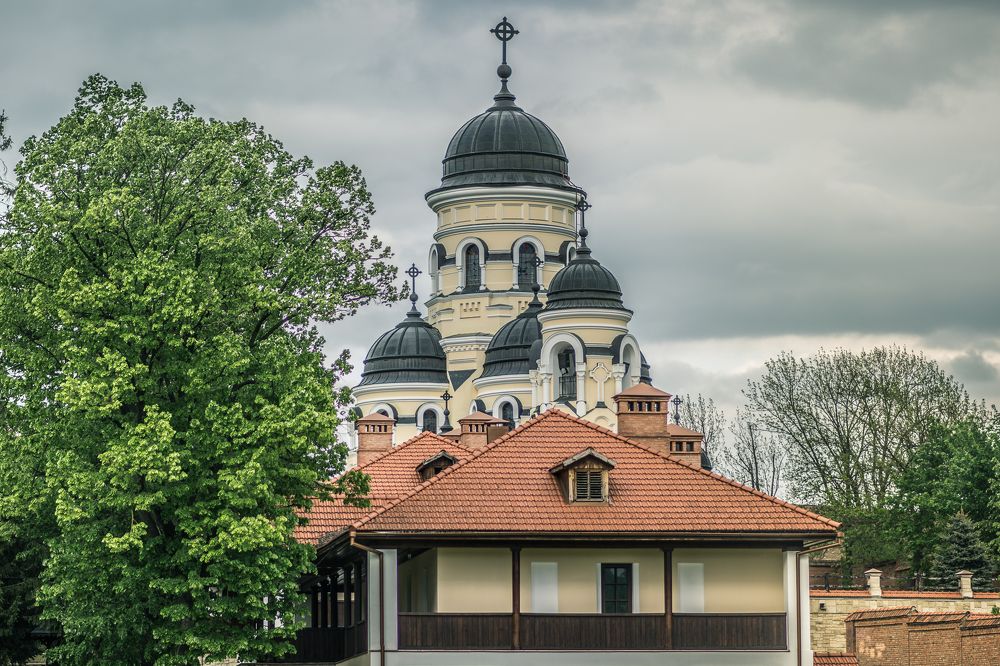 Photograph by Alisa Black