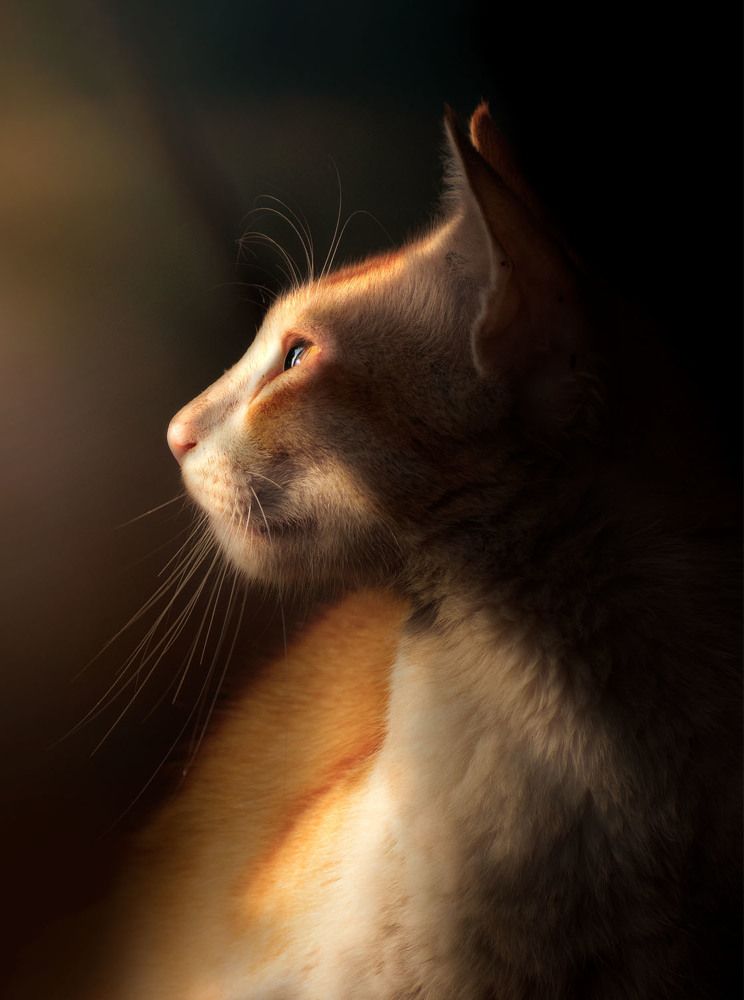 Photograph by Jayanta Guha