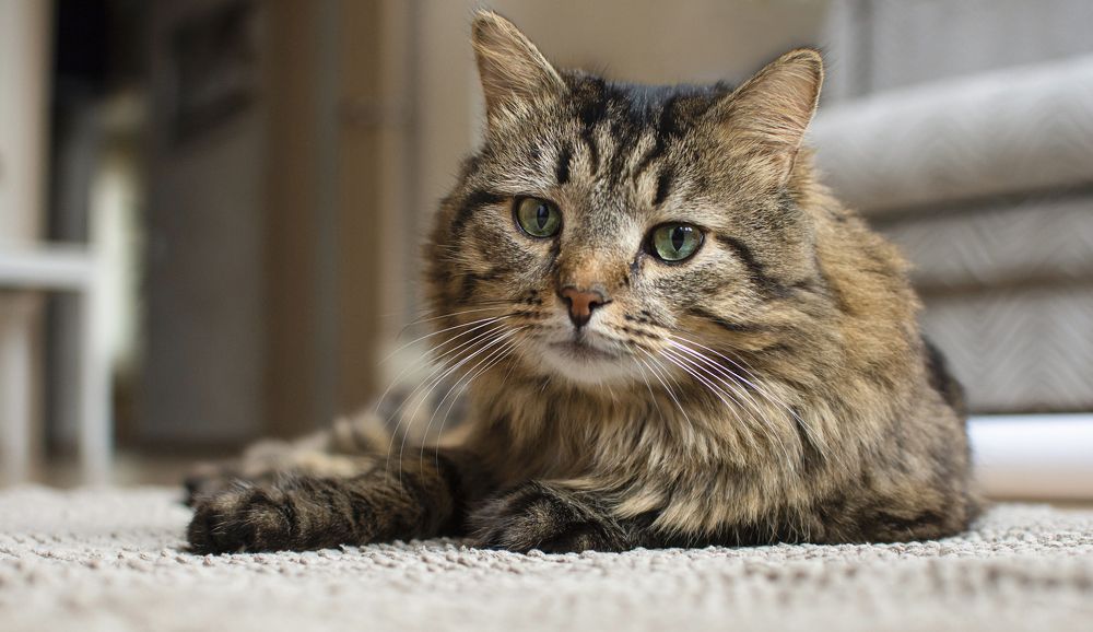 Photograph by Мария Теос