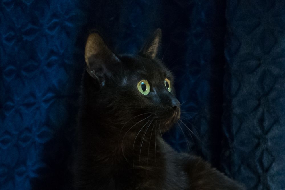 Photograph by Юлия Боровкова