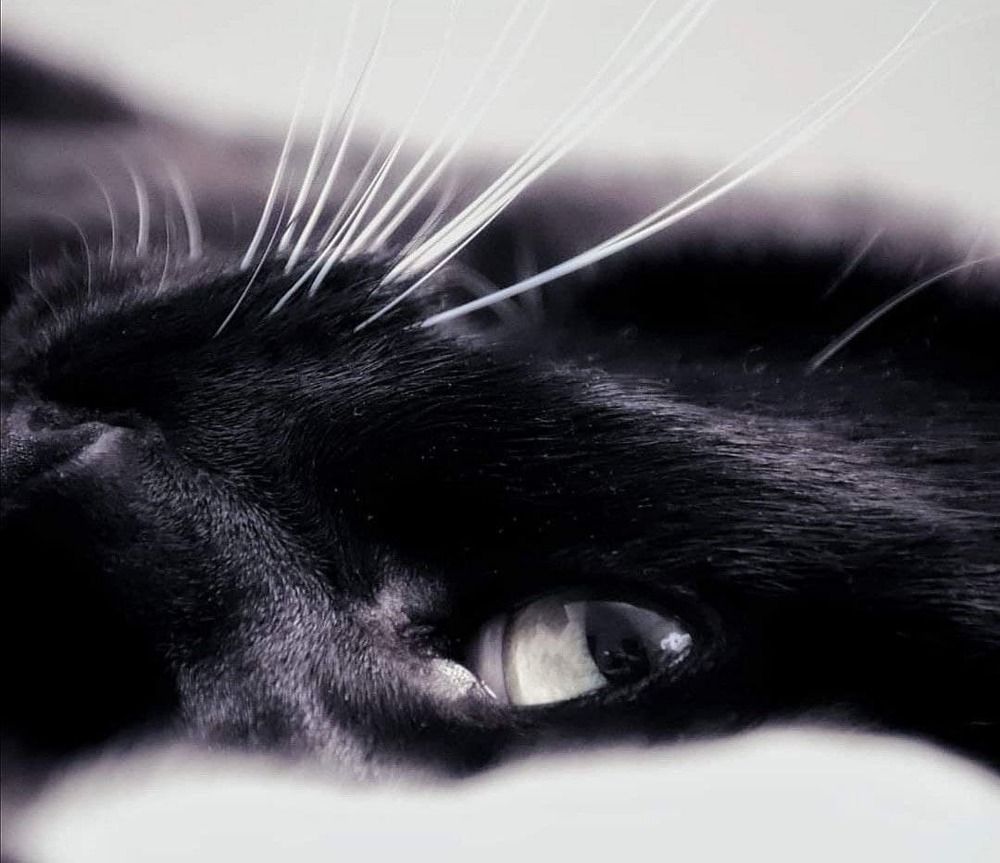 Photograph by Olga Asson