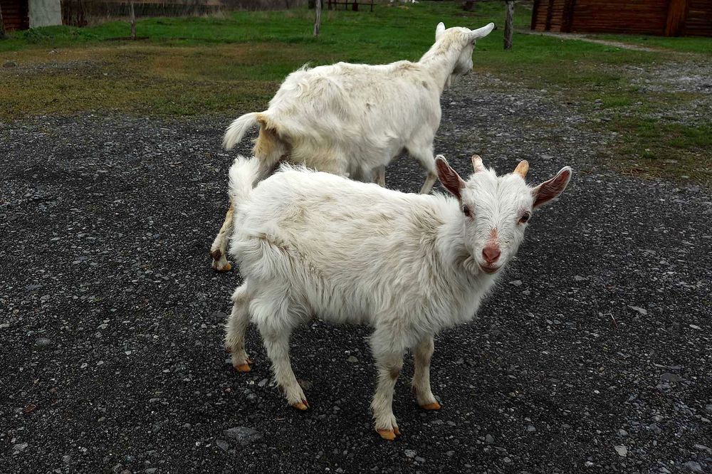 Photograph by Сергей Пупков